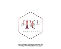 Initial TC Feminine logo beauty monogram and elegant logo design, handwriting logo of initial signature, wedding, fashion, floral and botanical with creative template vector