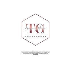 Initial TG Feminine logo beauty monogram and elegant logo design, handwriting logo of initial signature, wedding, fashion, floral and botanical with creative template vector