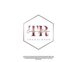 Initial TR Feminine logo beauty monogram and elegant logo design, handwriting logo of initial signature, wedding, fashion, floral and botanical with creative template vector