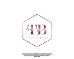 Initial TB Feminine logo beauty monogram and elegant logo design, handwriting logo of initial signature, wedding, fashion, floral and botanical with creative template vector