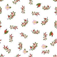 Seamless pattern with rosehip berries and flowers. Collection of various berries, herbs vector