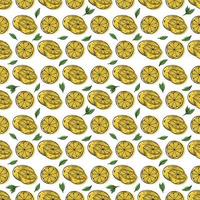 Tropical seamless pattern with yellow lemons and lemon slices hand draw illustration vector