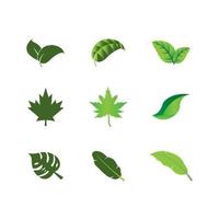 Logos of green leaf vector