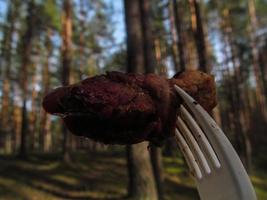 opening of the barbecue season in spring, meat on a fork photo