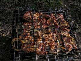 opening of barbecue season in spring forest photo