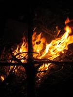 madera ardiente fuego pozo hoguera noche foto
