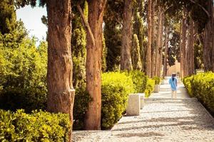 Kashan, irán, 2022 - tradicional persa aleta jardín Kashan, corrí foto