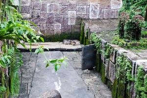 selectivo atención de castores dormido en el esquina de su jaulas foto