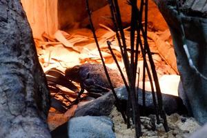 Selective focus of monitor lizards perched in a dark cage illuminated with lights. photo