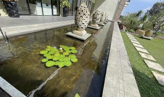 Selective focus of koi fish pond or brocade carp, with lotus plant on the water photo