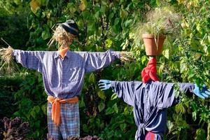 horario de verano en el jardin foto