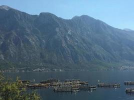 kotor en montenegro foto