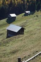 senderismo en los alpes suizos foto