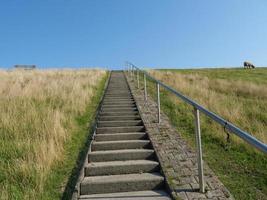 hiking near ditzum in germany photo