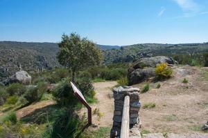 view of the forest from the top of the hill with stone fence photo