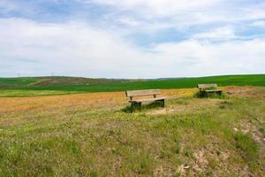 bench in a green field sown with blue sky with clouds photo