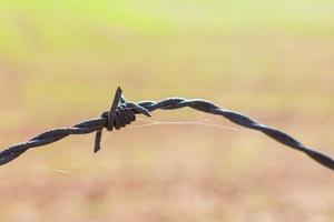 detail of a barbed wire knot with bokeh background photo