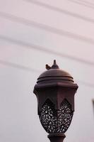 Old World sparrows at front yard mosque photo