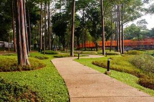 Scenic View of a Garden landscape with amazing plants and flowers. landscapes in the public park under a cloudy sky photo