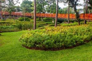 Scenic View of a Garden landscape with amazing plants and flowers. landscapes in the public park under a cloudy sky photo