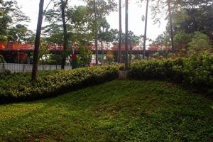 Scenic View of a Garden landscape with amazing plants and flowers. landscapes in the public park under a cloudy sky photo