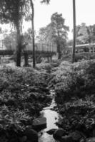 escénico ver de un jardín paisaje con increíble plantas y flores paisajes en el público parque debajo un nublado cielo foto