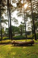 Scenic View of a Garden landscape with amazing plants and flowers. landscapes in the public park under a cloudy sky photo