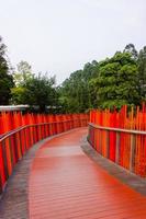 el puente en el jardín foto