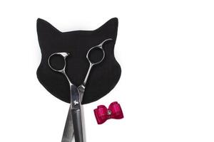 Set of different combs and brushes for grooming pets on a white background with shadow reflection. A creative cat figurine made from grooming tools. photo