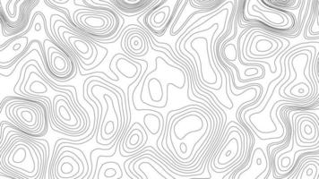 Background of the topographic map. White wave paper curved reliefs abstract background. Topography and geography map grid abstract backdrop. Business concept. Abstraction with place for text. photo