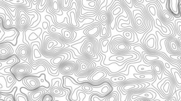 Background of the topographic map. White wave paper curved reliefs abstract background. Topography and geography map grid abstract backdrop. Business concept. Abstraction with place for text. photo