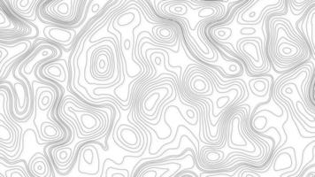 Background of the topographic map. White wave paper curved reliefs abstract background. Topography and geography map grid abstract backdrop. Business concept. Abstraction with place for text. photo