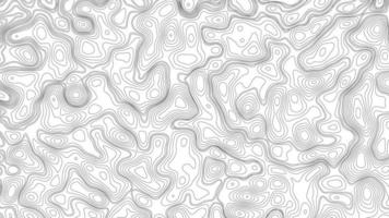 mapa de contorno topográfico detallado en blanco abstracto fondo de vector blanco sutil. cuadrícula de mapa topográfico geográfico. mapa de líneas con elevación. cartografía topográfica. mapa topográfico. relieve topográfico. foto