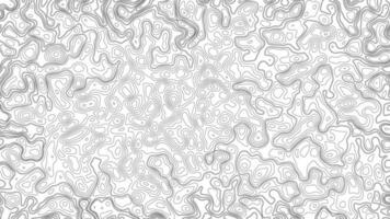 Abstract Blank Detailed Topographic Contour Map Subtle White Vector Background. Geographic topographic map grid. Line map with elevation. Topographic Cartography. Topographic Map. Topographic Relief. photo