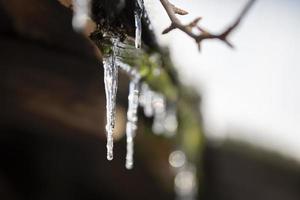 Icicles are dripping from the roof. The arrival of spring. Change of season. photo