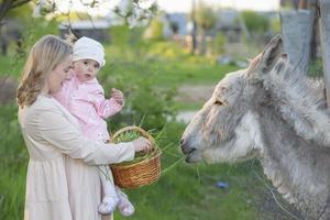 Mom with a little daughter feeds a donkey. A woman with a child on a farm. photo