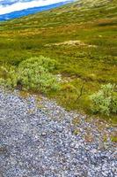 hermosa montaña y paisaje naturaleza panorama rondane parque nacional noruega. foto