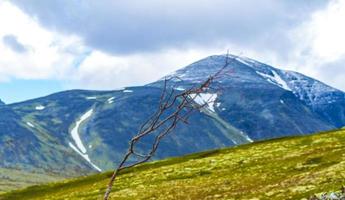 Beautiful mountain and landscape nature panorama Rondane National Park Norway. photo