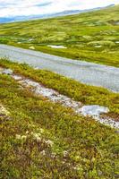 hermosa montaña y paisaje naturaleza panorama rondane parque nacional noruega. foto