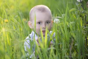 pequeño chico en el antecedentes de alto verde césped. niño en naturaleza. foto