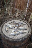 Dried fish lies on a wooden barrel. photo