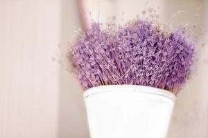 In a white vase, a bouquet of dried French lavender. photo