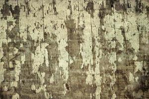 Grunge texture of peeling wood with white paint. photo