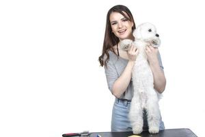 A beautiful young woman is holding her bichon puppy. Love between owner and dog. The girl is playing with the dog. photo