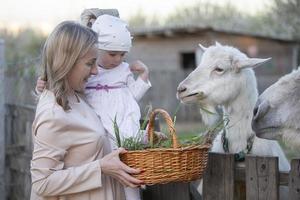 Mom with a little daughter feeds a goat. A woman with a child on a farm. photo