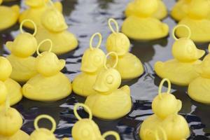 muchos amarillo patos flotante en el piscina foto