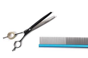 Groomer tool. Set of various combs and scissors for pet hair care on a white background. photo