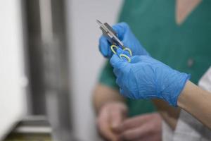 The hands of a production technologist check the quality and size of pasta. Pasta production. photo