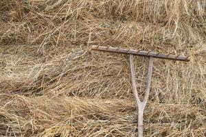 A vintage rake lies on the straw. Rustic background with straw. photo