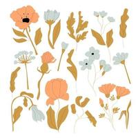 Set of vector flowers and leaves isolated on white background.Botanical collection with decorative elements.